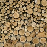 Jak trzymać i suszyć drewno opałowe?