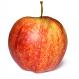 Popularne odmiany jabłek